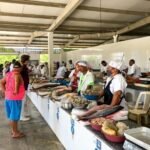 Confira o horário de funcionamento das feiras livres e mercados públicos no Dia de Finados