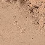 Estrutura misteriosa encontrada no Google Earth intriga arqueólogos nos Andes