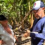Alagoas inspeciona plantações de banana para verificar ocorrência de praga