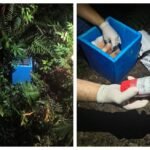 Material radioativo roubado de van é encontrado abandonado em terreno em SP