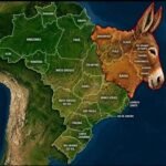 Estudo aponta 32,8 milhões de ataques contra o Nordeste em 72 horas após eleições