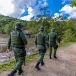 Polícia Militar resgata jaguatirica encontrada dentro de residência em Penedo