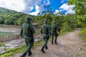 Polícia Militar resgata jaguatirica encontrada dentro de residência em Penedo