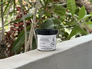 Alagoas instala armadilhas para monitorar mosquito da dengue em São Miguel dos Campos